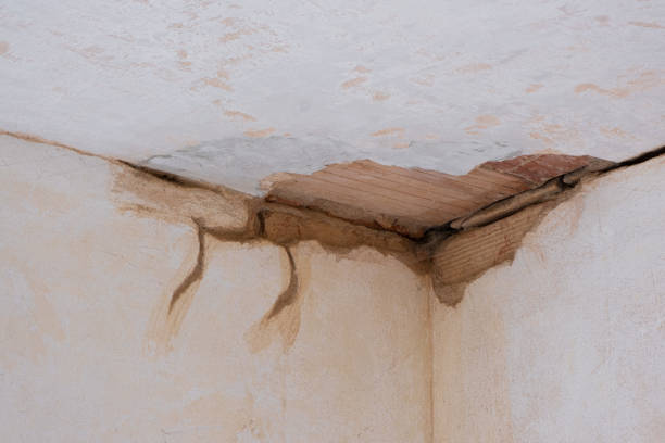 Best Water damage restoration specialists  in Bon Secour, AL