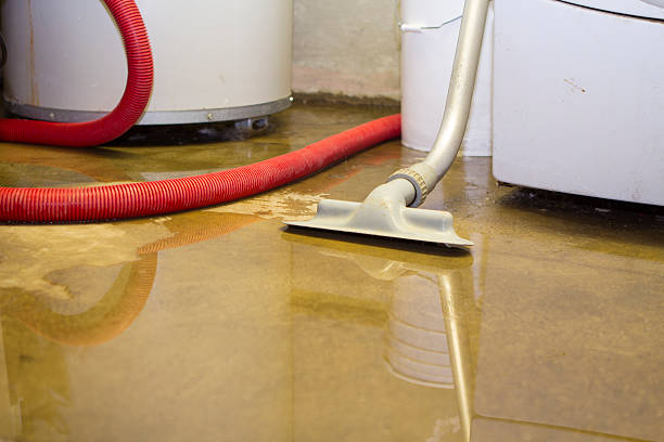 Best Water damage cleanup near me  in Bon Secour, AL