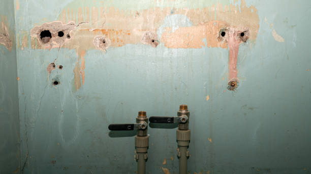 Best Water damage restoration mold remediation  in Bon Secour, AL