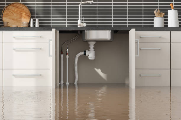Best Water damage restoration near me  in Bon Secour, AL