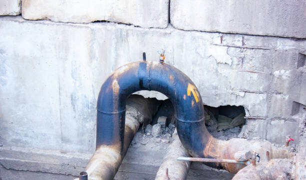 Best Sewage cleanup and water damage restoration  in Bon Secour, AL